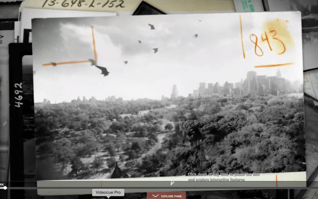 "High Rise" includes creative additives including animated birds, horses and even elevators to add life to   black and white archive images. 